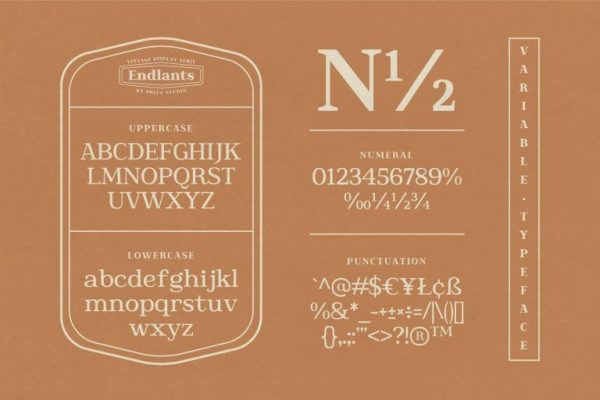 Endlants – Vintage Serif Font