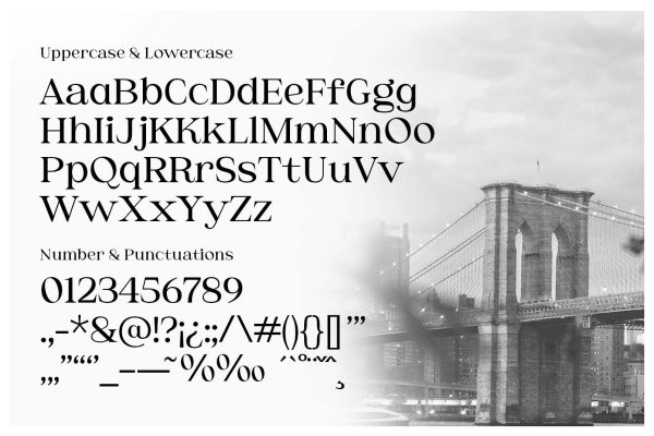 Brooklyn – Classic Serif Font