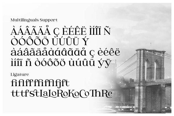 Brooklyn – Classic Serif Font