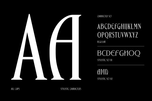 Bargonde | Elegant Serif Condensed Font