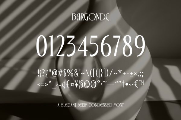 Bargonde | Elegant Serif Condensed Font