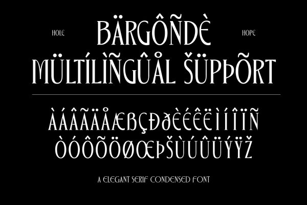 Bargonde | Elegant Serif Condensed Font