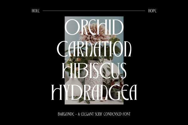 Bargonde | Elegant Serif Condensed Font