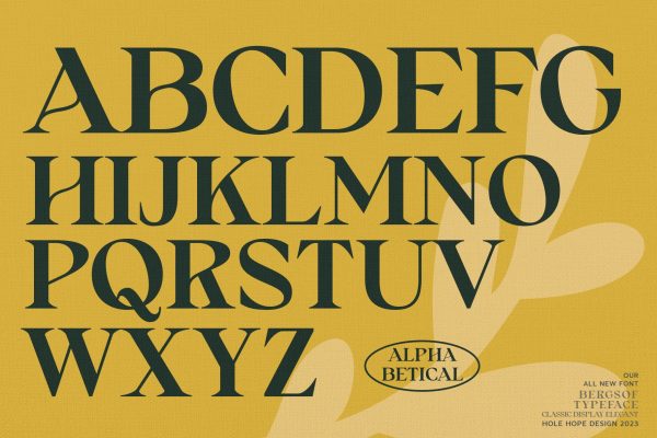 Bergsof | Elegant Classic Font