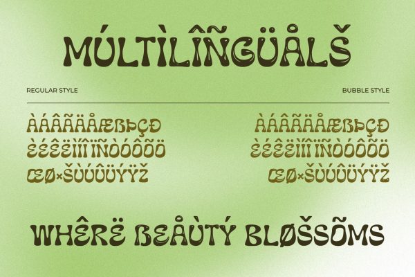 Blubwy – Aesthetic Bubbly Experimental Font