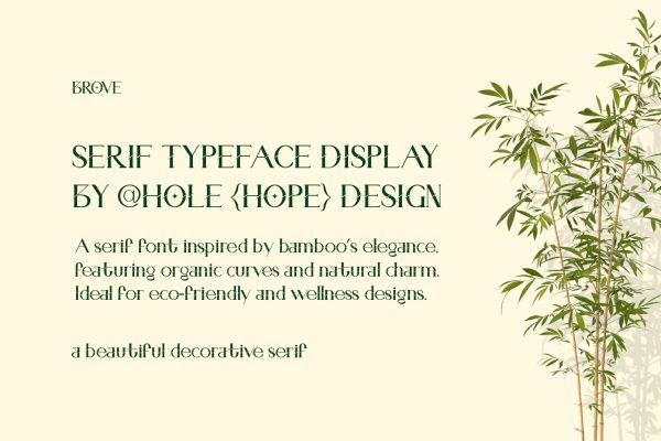 Brove | Beautiful Decorative Serif Font