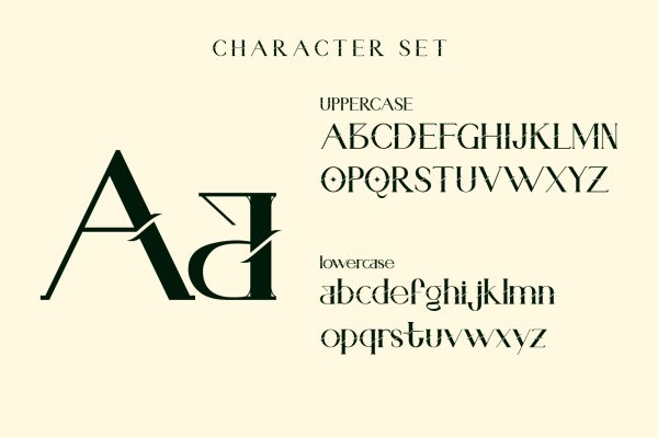 Brove | Beautiful Decorative Serif Font