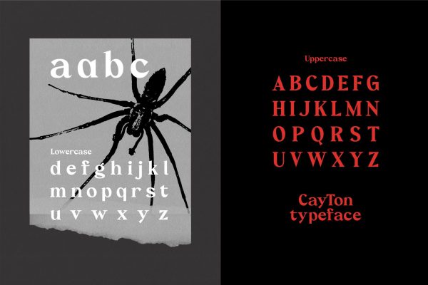 Cayton – Vintage Sharp Serif Font