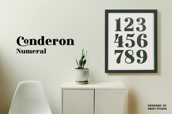 Conderon – Classic Serif Font