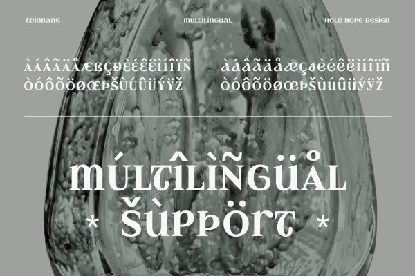 Edinbane | Experimental Elegant Display Font