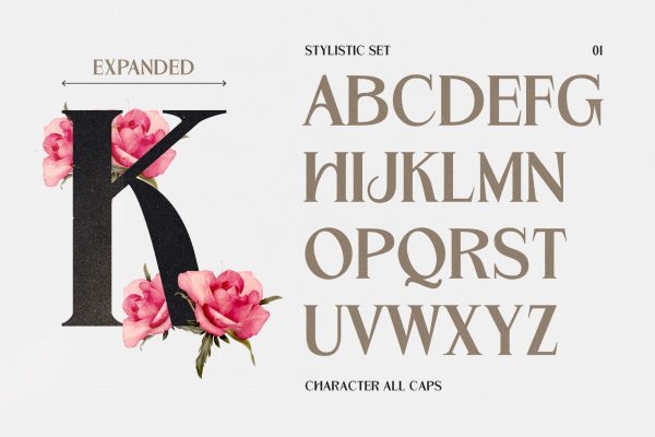 Garmole – Elegant Serif Font