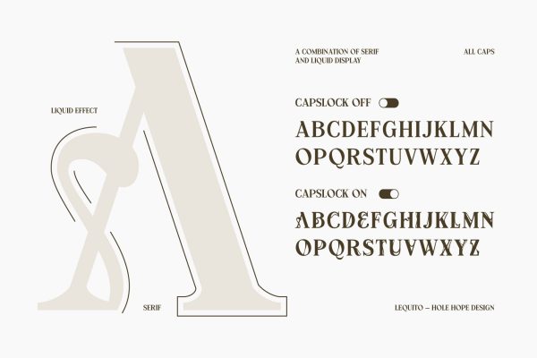 Lequito | Liquid Decorative Serif Font