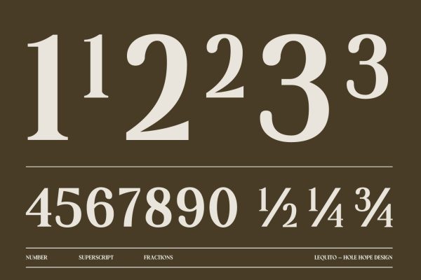 Lequito | Liquid Decorative Serif Font