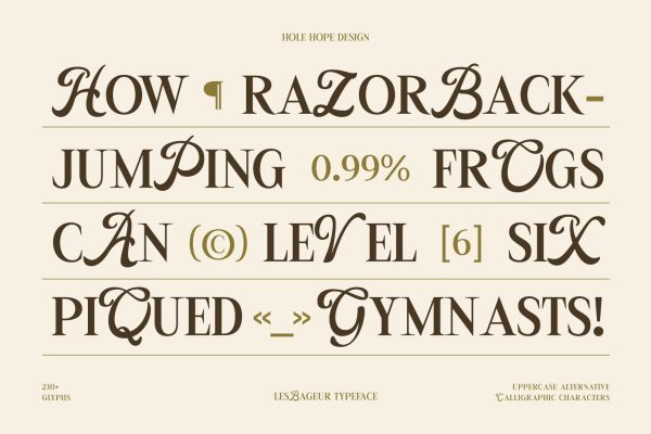 LesBageur | Calligraphic Serif Font