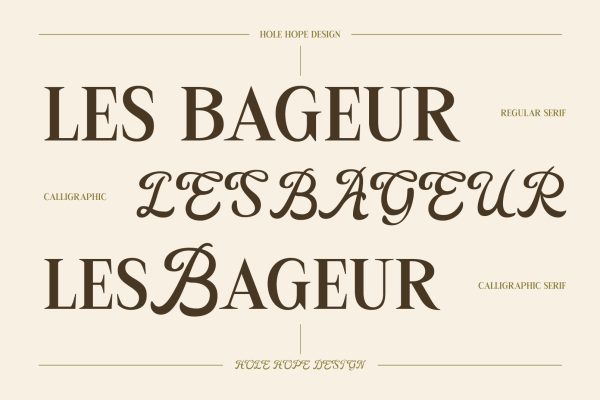 LesBageur | Calligraphic Serif Font