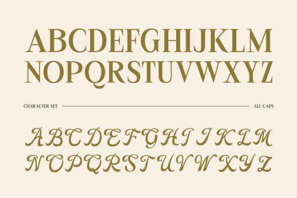 LesBageur | Calligraphic Serif Font