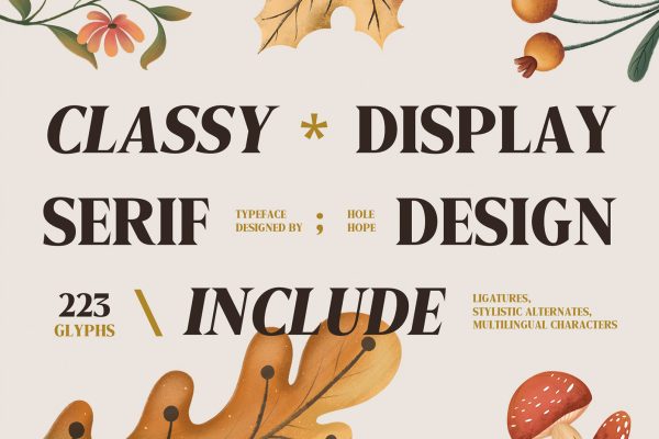 Manega | Vintage Serif Display Font