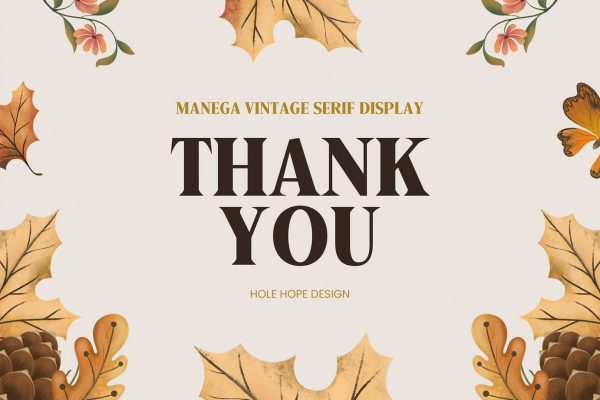 Manega | Vintage Serif Display Font