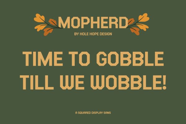 Mopherd – Squared Display Sans Font