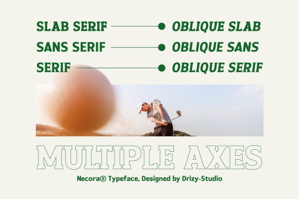 Necora – Multiple Axes Classic Font