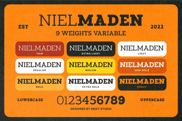 Nielmaden – Display Slab Serif Variable Font