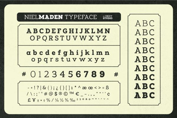 Nielmaden – Display Slab Serif Variable Font