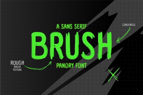 Pandry – Sans Serif Brush Font