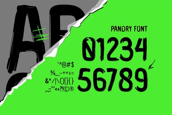 Pandry – Sans Serif Brush Font