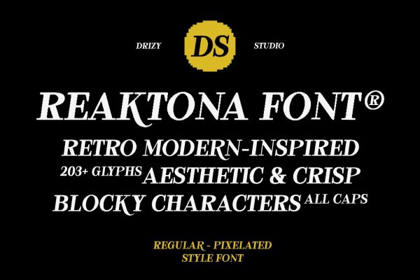 Reaktona – Pixel Slanted Serif Font