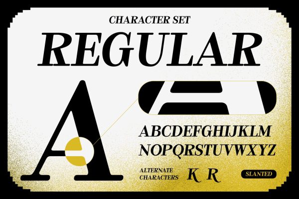 Reaktona – Pixel Slanted Serif Font