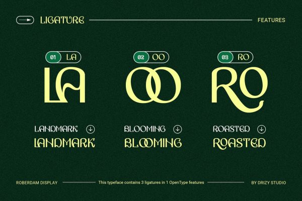 Roberdam – Sans Serif Aesthetic Font