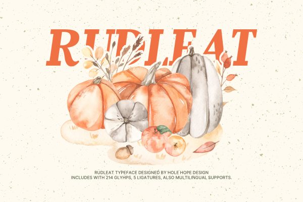 Rudleat | Slab Serif Display Font