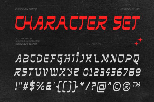 Cherysan – Experimental Reverse Contrast Font