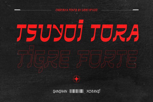 Cherysan – Experimental Reverse Contrast Font