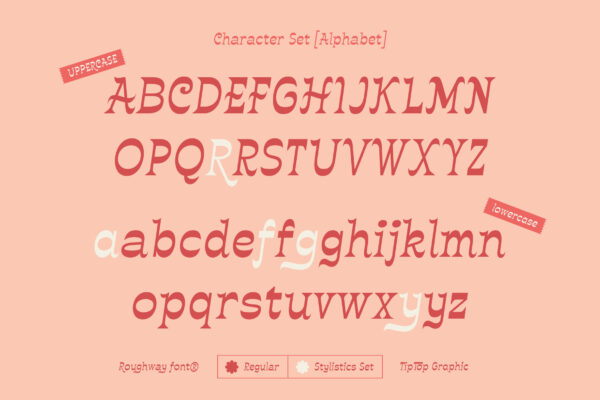 Roughway – Reverse Contrast Oblique Font