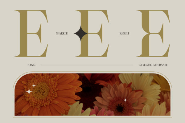 Crowey | Elegant Classic Serif Font