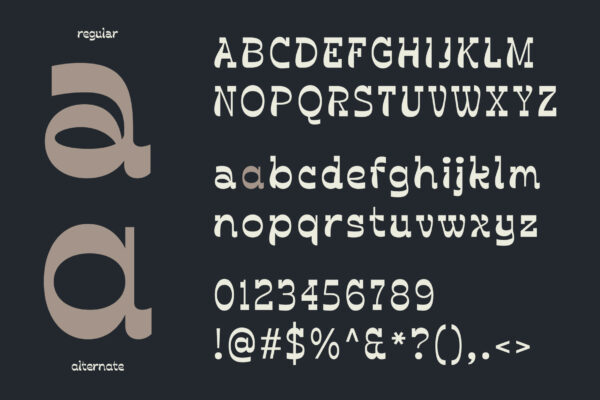 Darleco | Experimental Slab Display Font