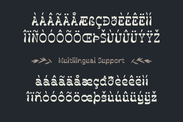 Darleco | Experimental Slab Display Font