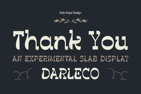 Darleco | Experimental Slab Display Font