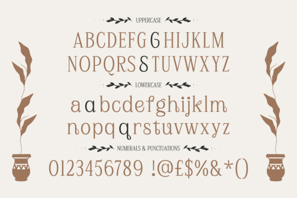 Plafisco | Inktrap Elegant Display Font